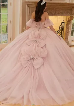 Vizcaya Quinceanera 89479