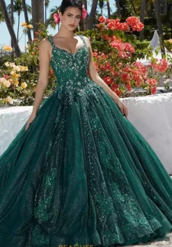 Vizcaya Quinceanera 89363