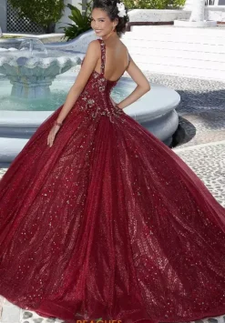 Vizcaya Quinceanera 89363