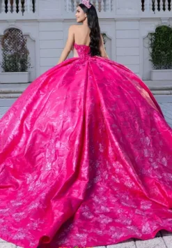 Vizcaya Quinceanera 4080031