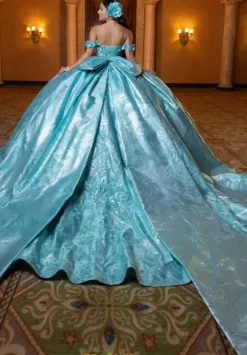 Vizcaya Quinceanera 4080031