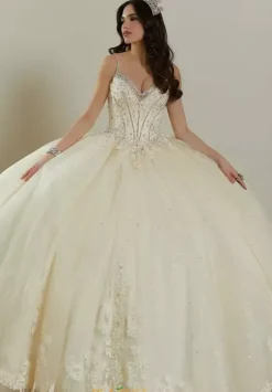 Vizcaya Quinceanera 89482