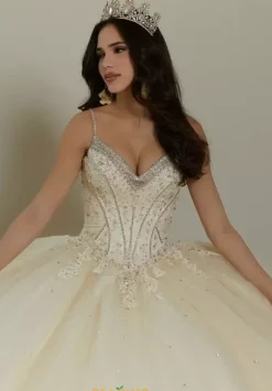 Vizcaya Quinceanera 89482