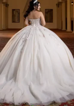 Vizcaya Quinceanera 4080023