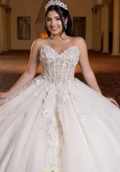 Vizcaya Quinceanera 4080023