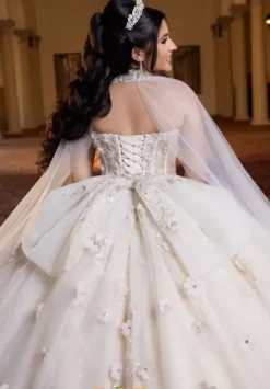 Vizcaya Quinceanera 4080023