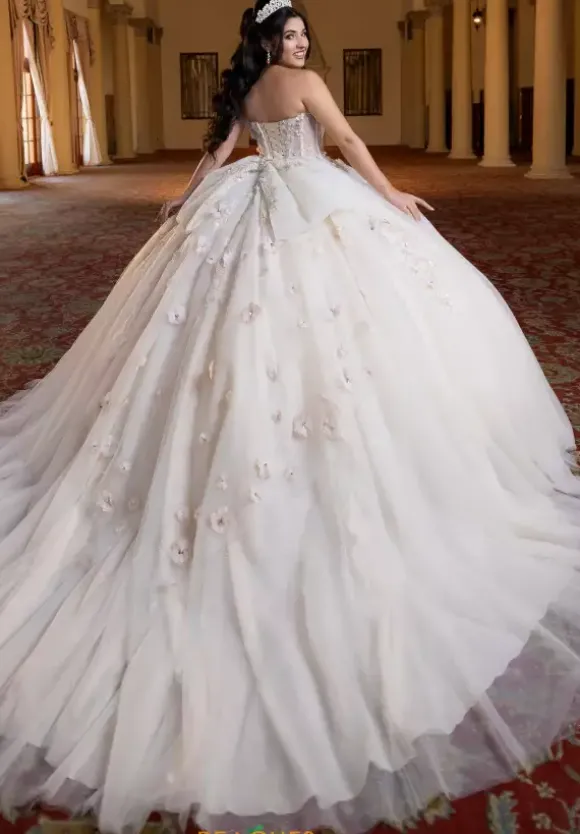 Vizcaya Quinceanera 4080023