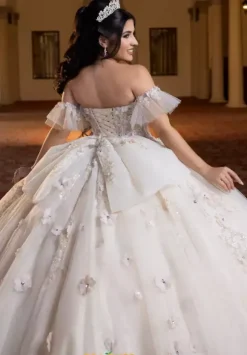 Vizcaya Quinceanera 4080023