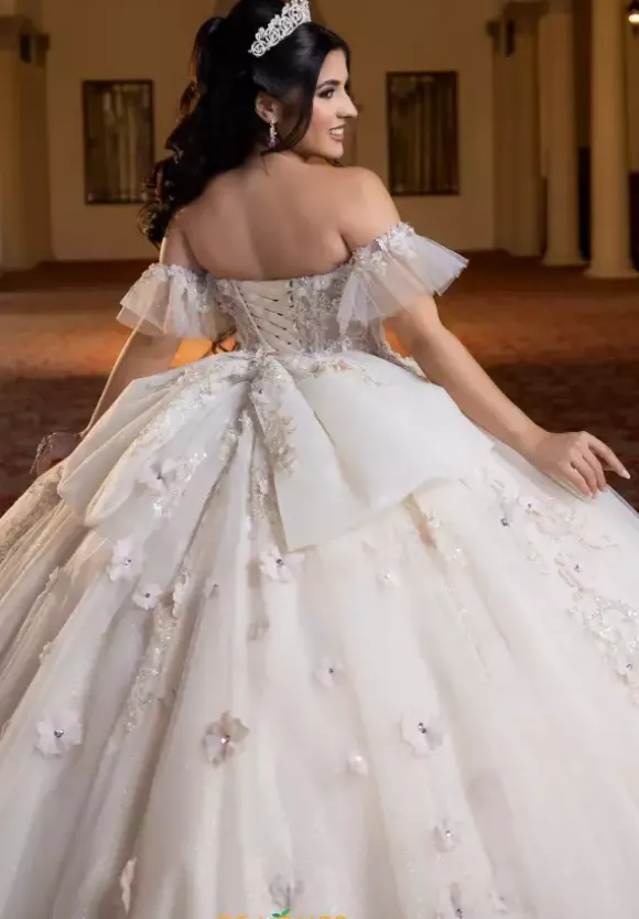 Vizcaya Quinceanera 4080023