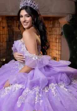 Vizcaya Quinceanera 4080014