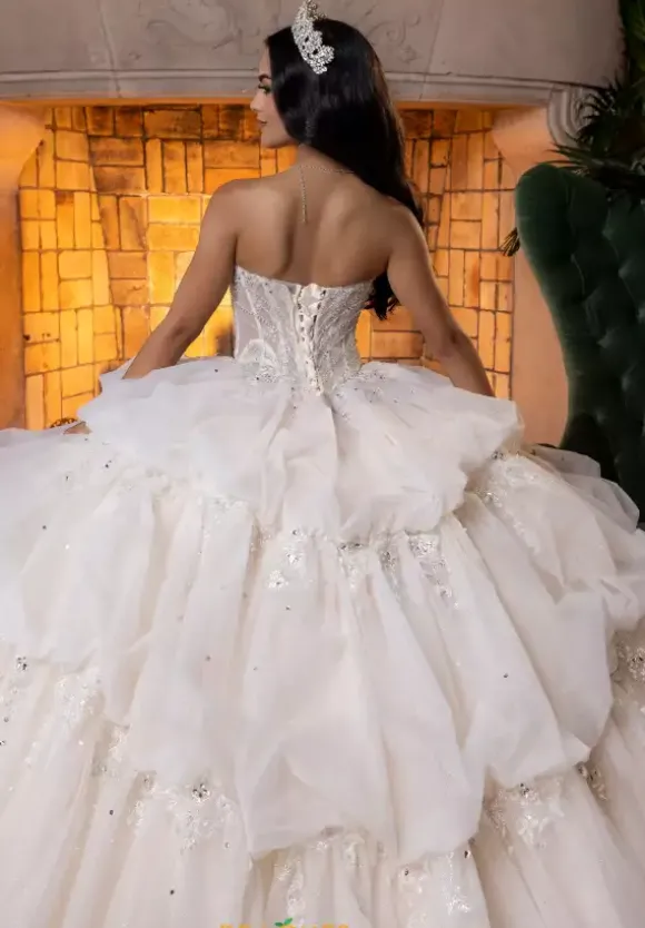 Vizcaya Quinceanera 4080014