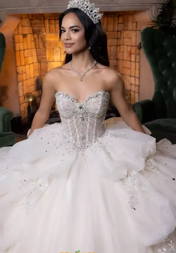 Vizcaya Quinceanera 4080014