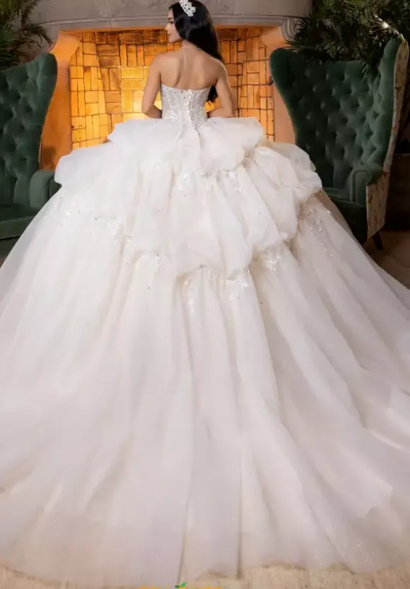 Vizcaya Quinceanera 4080014