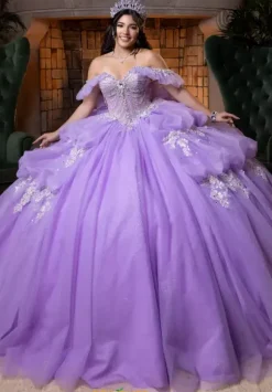 Vizcaya Quinceanera 4080014
