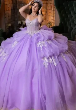 Vizcaya Quinceanera 4080014