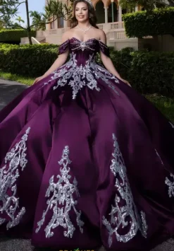 Vizcaya Quinceanera 4080009