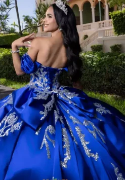 Vizcaya Quinceanera 4080009