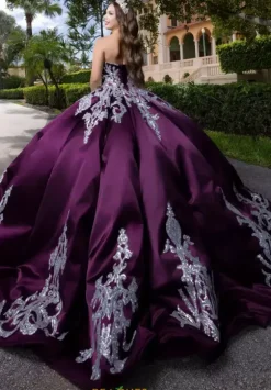Vizcaya Quinceanera 4080009