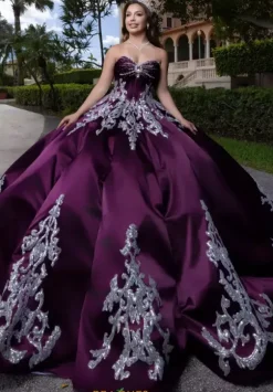 Vizcaya Quinceanera 4080009