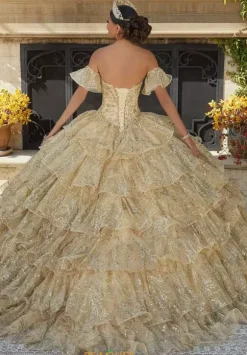 Vizcaya Quinceanera 34094