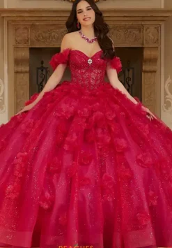 Vizcaya Quinceanera 89477