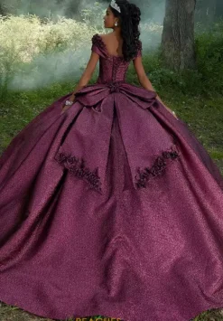 Vizcaya Quinceanera 60196