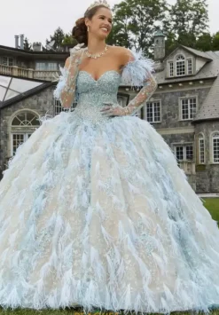 Vizcaya Quinceanera 34082