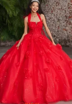 Vizcaya Quinceanera 89562