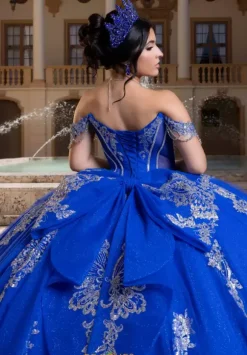 Vizcaya Quinceanera 4080021