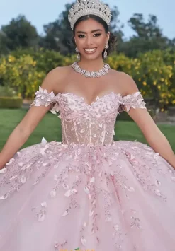Vizcaya Quinceanera 60181