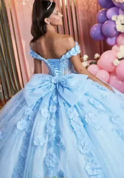 Vizcaya Quinceanera 89505