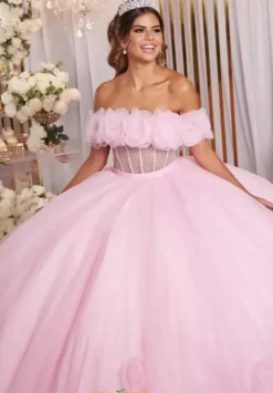 Vizcaya Quinceanera 89524