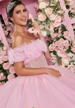 Vizcaya Quinceanera 89524