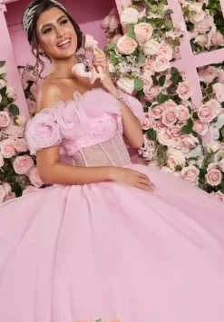 Vizcaya Quinceanera 89524