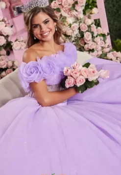 Vizcaya Quinceanera 89524