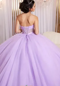 Vizcaya Quinceanera 89524
