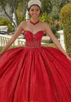 Vizcaya Quinceanera 60187