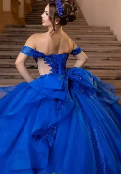 Vizcaya Quinceanera 4080000