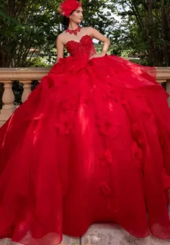Vizcaya Quinceanera 4080012