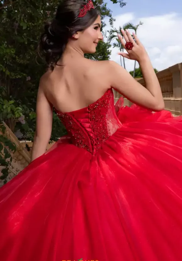 Vizcaya Quinceanera 4080012