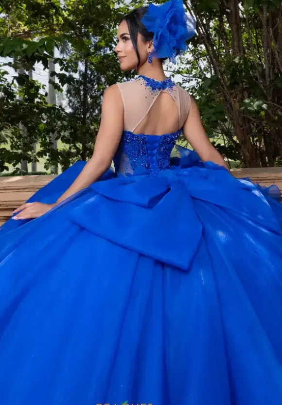 Vizcaya Quinceanera 4080012