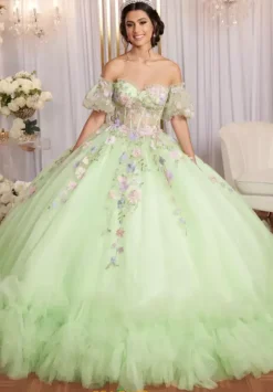 Vizcaya Quinceanera 89510