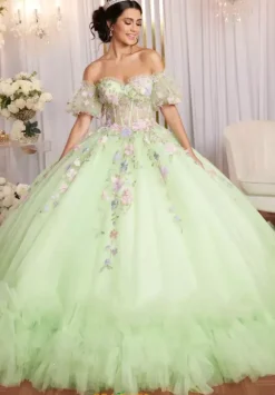 Vizcaya Quinceanera 89510