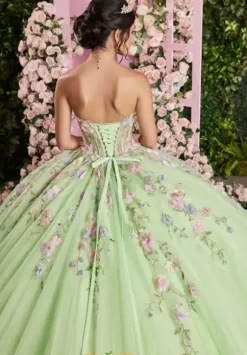 Vizcaya Quinceanera 89510