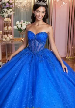 Vizcaya Quinceanera 89502