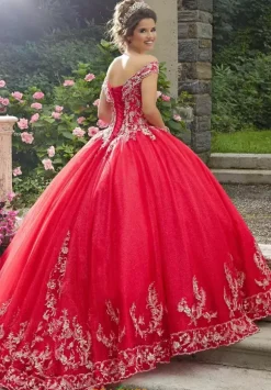 Vizcaya Quinceanera 89275