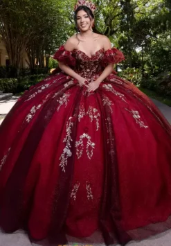 Vizcaya Quinceanera 4080022