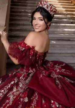 Vizcaya Quinceanera 4080022