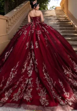 Vizcaya Quinceanera 4080022