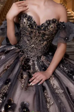 Vizcaya Quinceanera 4080022